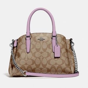 Mini Sage Carryall In Signature Canvas